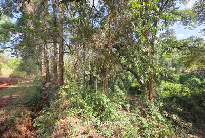 4.7 ac Land in Kitisuru - 2