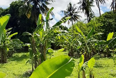 Land at Kikambala Bomani - 2