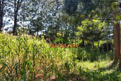 1,000 m² Residential Land in Kikuyu Town