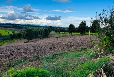 Land in Tigoni