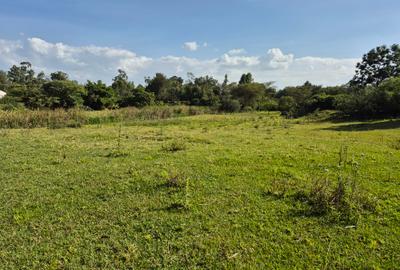 Land in Muthaiga