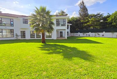 Commercial Property with Backup Generator at Panafrican Road - 2