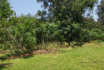 Land at Riverside Groove - 4