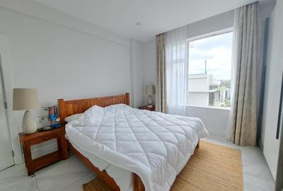 Furnished 2 Bed Apartment with En Suite at Rhapta Road - 4