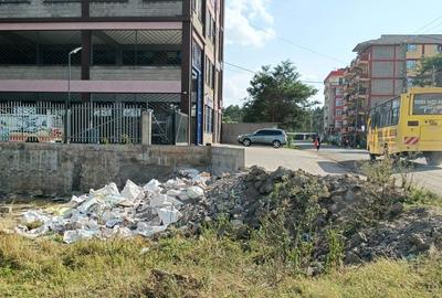 Land at Eastern Bypass - 3