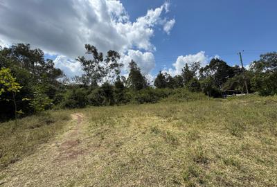 1 ac Land in Karen - 2