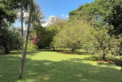 2.5 ac Land in Ridgeways - 4