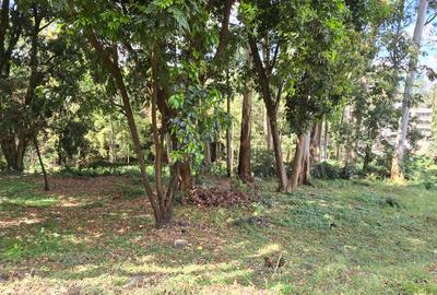 Residential Land at Riara Road - 3