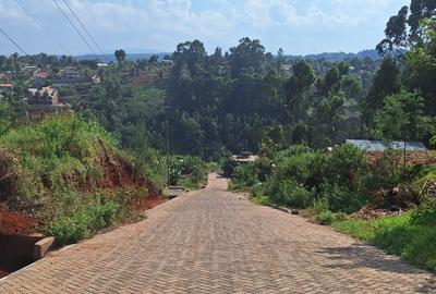 0.25 ac Commercial Land at Muthiga - 2