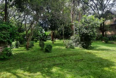 Land in Lavington