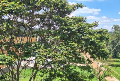 0.25 ac Residential Land at Tigoni - 4