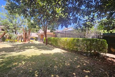 1 ac Commercial Property with Backup Generator in Lavington - 4