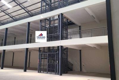 15,000 ft² Warehouse with Fibre Internet at Cabanas - 2