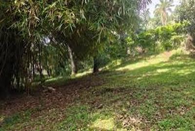 1.7 ac Land in Rosslyn