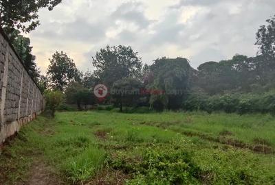 Land at Ndovu Lane