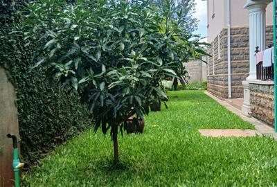 3 Bed Townhouse in Thome - 3