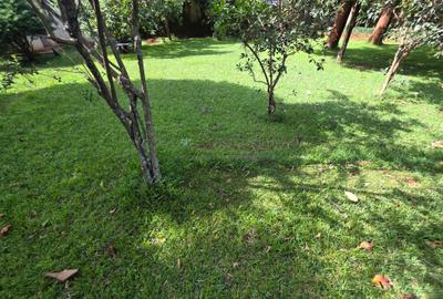 Land in Kileleshwa - 2