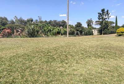 20 ac Land in Karen - 2