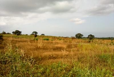 Land at Manira Trail