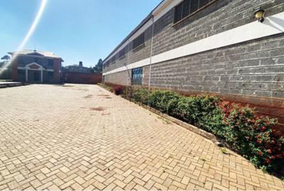 0.5 ac Commercial Property with Fibre Internet at Lusigetti - 2