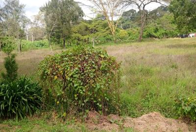 0.5 ac Land at Comboni