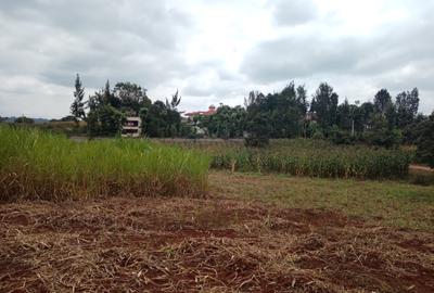 Residential Land in Runda - 2