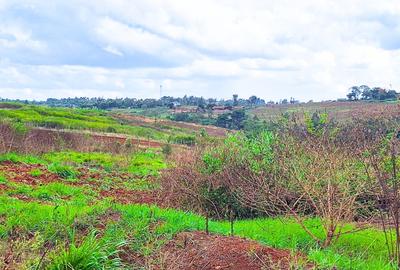 1 ac Commercial Land at Ruiru
