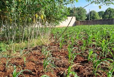 0.5 ac Land in Nyari - 2