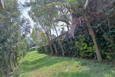 0.5 ac Residential Land in Karen