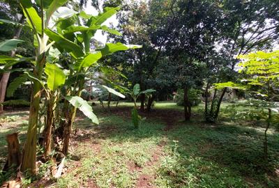 Residential Land at Kitisuru Road