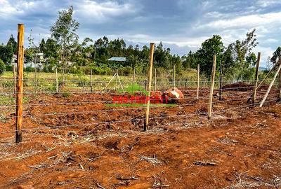 0.05 ha Residential Land in Kamangu - 3