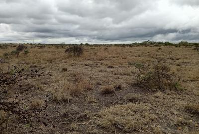 50 ac Land in Konza City - 3