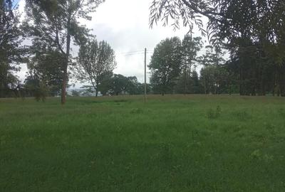 1 ac Residential Land in Rironi