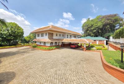 Commercial Property with Backup Generator in Lavington - 2