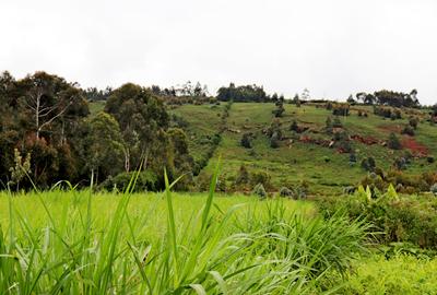 0.005 ha Residential Land at Kikuyu -Mutarakwa Rd