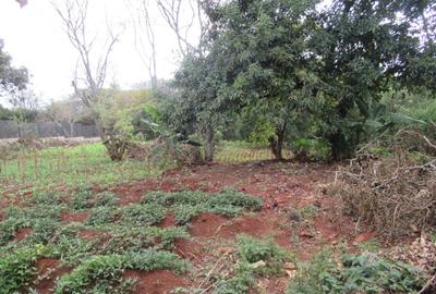 Residential Land at Karen Hardy - 4