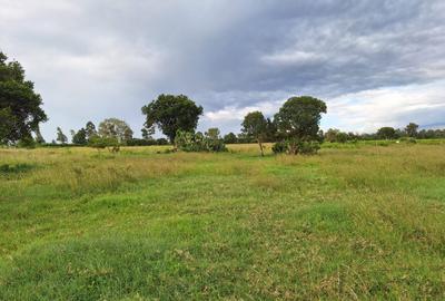 5 ac Residential Land at Nanyuki - 4