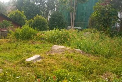 1 ac Land at Rapta Road