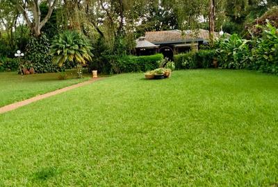 6 Bed House with En Suite in Kitisuru