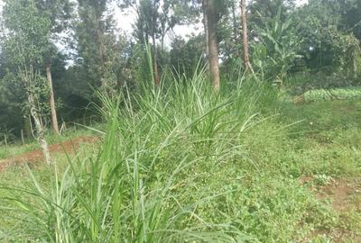 3.2 ac Land at Off Dagoreti Road - 2