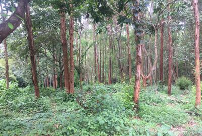 Land in Kitisuru