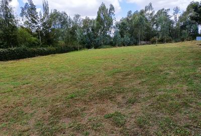 0.5 ac Residential Land in Karen