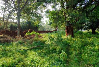 Residential Land at Karen - 4
