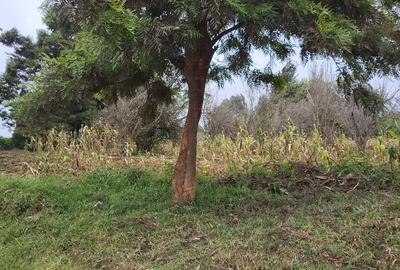 1.2 ac Land at Limuru - Kamandura