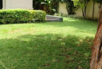 5 Bed Townhouse with En Suite in Lavington - 2