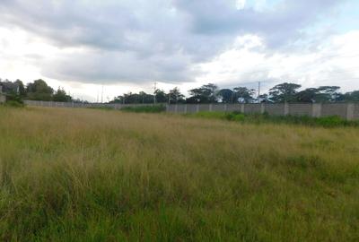 Residential Land in Karen