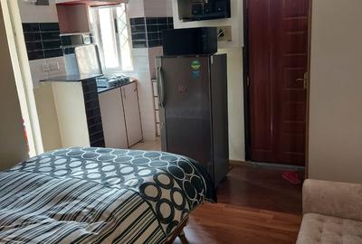 Serviced Studio Apartment with En Suite in Lavington