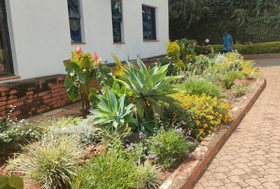 1 Bed House with En Suite at Nyari - 3