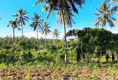 Land at Kwale - 2