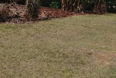 0.25 ac Land in Thika - 4